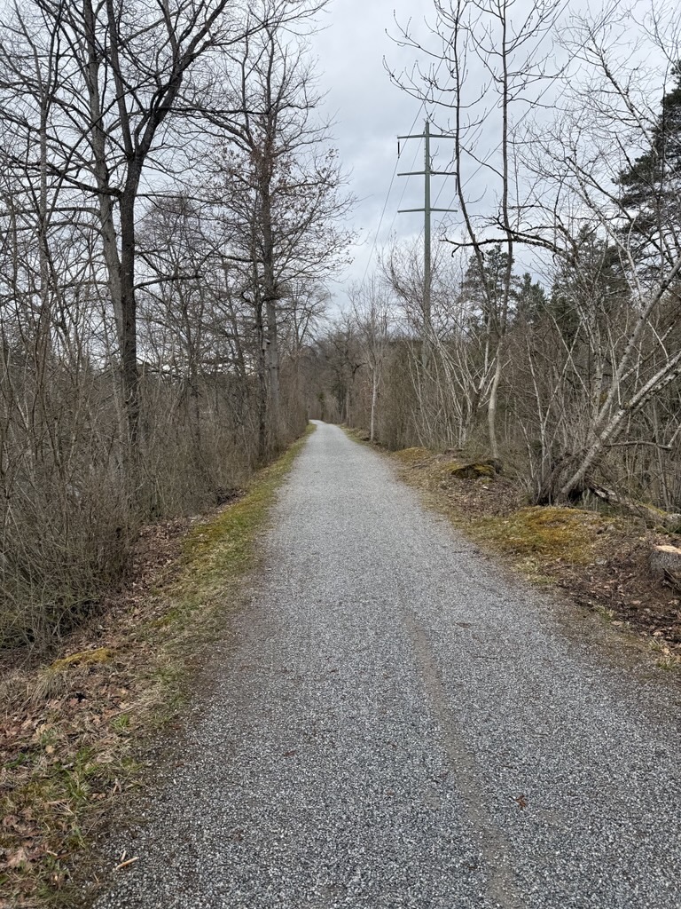 Run 1: Die ehrliche Standortbestimmung